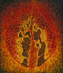 Autumn Ember crop