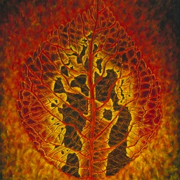 Autumn Ember crop