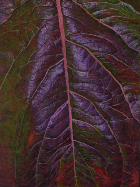 dogwood purple