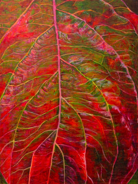 dogwood red