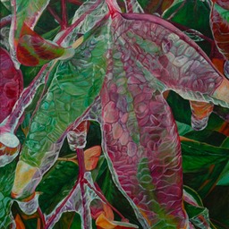 Ice on Nandina