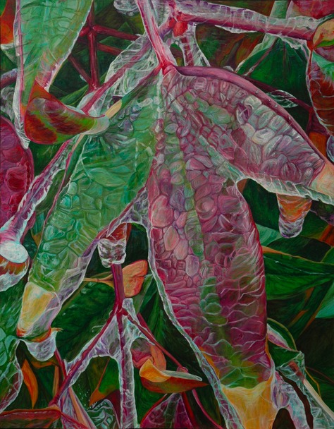 Ice on Nandina