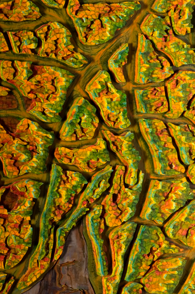 leaf topography 1 detail