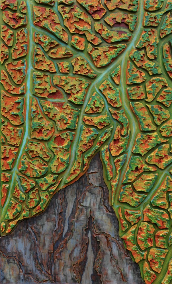Leaf topography 1
