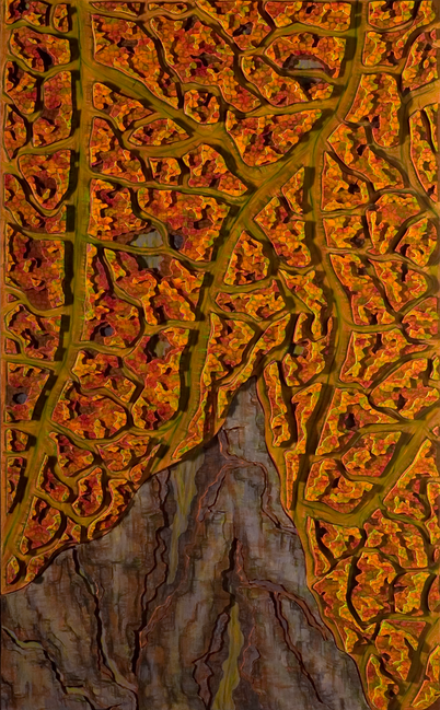leaf topograpy 2