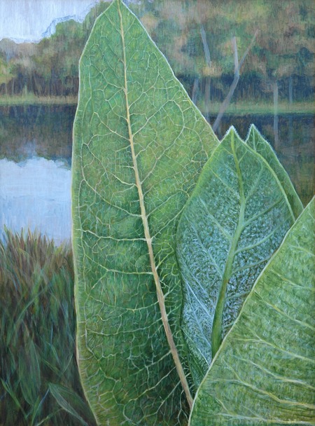 Milkweed leaves