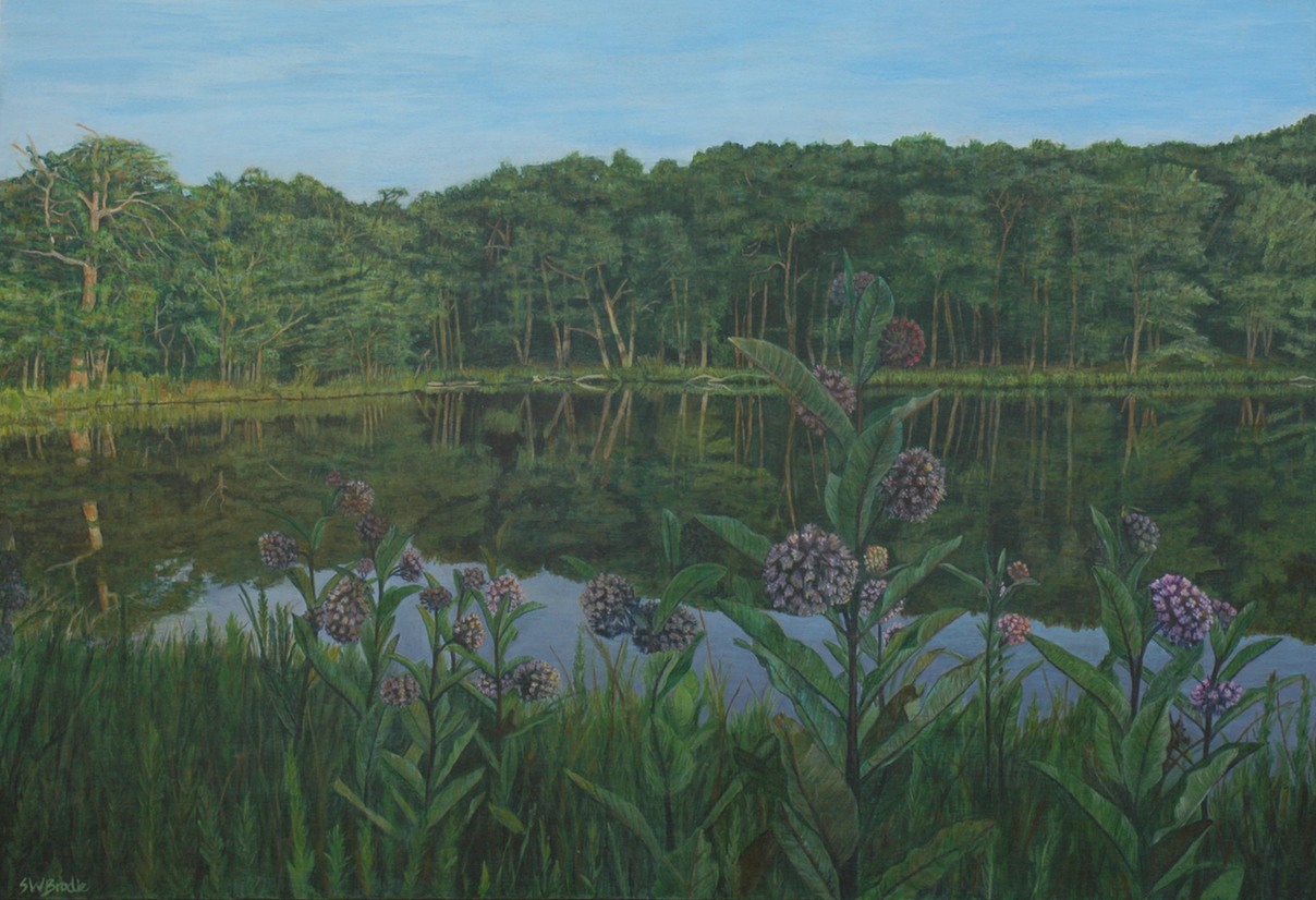 Riopel Pond 09