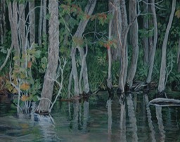 Sugar Hollow I