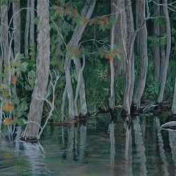 Sugar Hollow I
