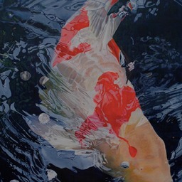 Surface Swimmer